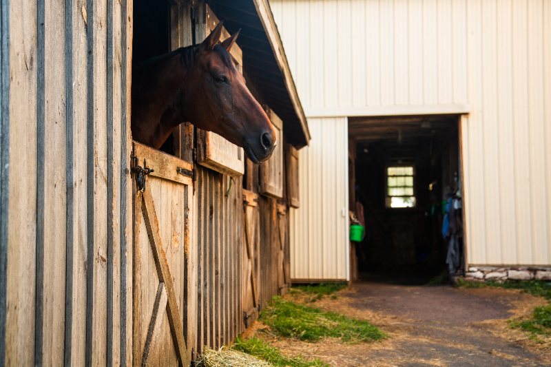 Stalls at Gwyn Meadows Farm