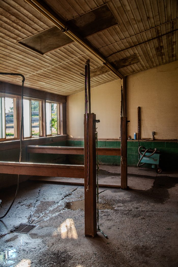Wash stalls and tack room